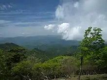 大台原景色