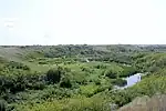 Creek covered with vegetation