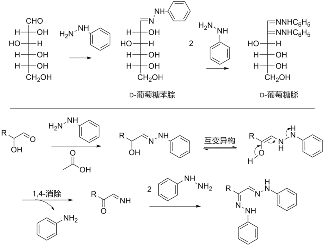 糖脎的合成以及反应机理