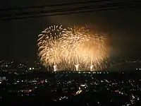 2010年的教祖祭PL煙火藝術