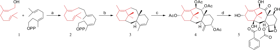 Scheme 1. 紫杉醇生合成。 OPP代表焦磷酸。