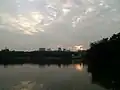 夕阳下景观