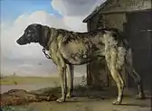 Wolf-Hound (约 1650–1652)