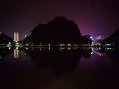 桃花公园夜景