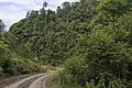 Pensiangan-Sapulut gravel road.