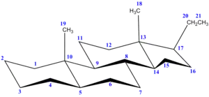 5α,14α-孕烷空间结构