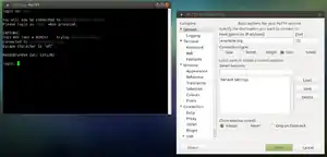 在Ubuntu MATE下运行PuTTY的屏幕截图