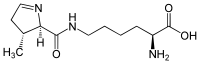 吡咯赖氨酸 Pyrrolysine