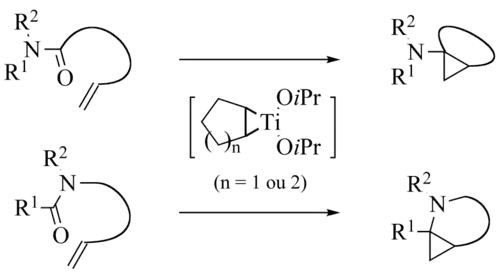 分子内de Meijere变体