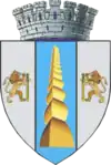 Coat of arms of Târgu Jiu