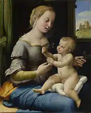 《粉紅色的聖母（英语：）》（The Madonna of the Pinks），1507年-1508年，收藏於英國國家美術館