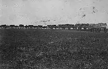 A line of wooden carts with wagon wheels pulled by oxen move down a path through a prairie