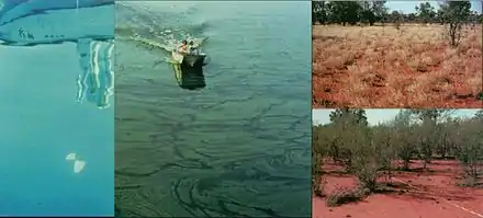 Temperate lake and Mulga woodland