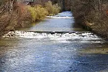 A mid-sized river flows through a forest; small rapids cascade over rocks.