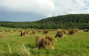 斯托本縣的農地