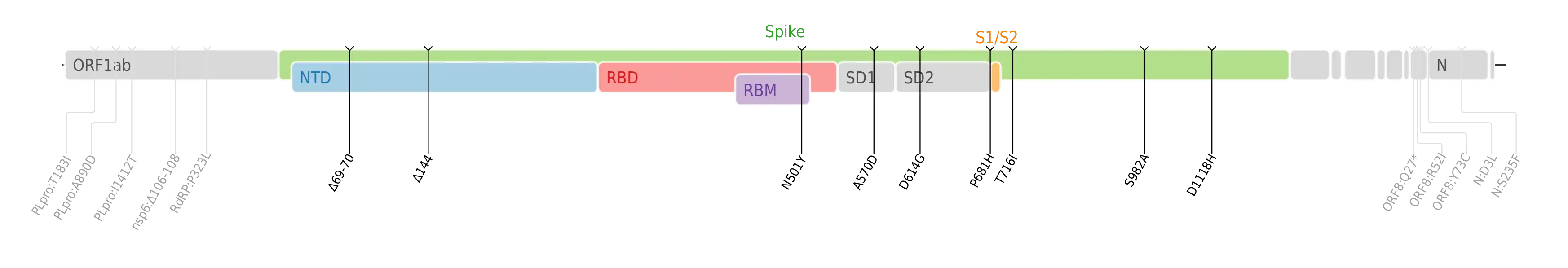 SARS-CoV-2 Alpha变异株的氨基酸突变绘制在SARS-CoV-2的基因组图上