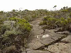 通往羅什埃克里特峰（法语：）的路徑