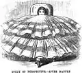 Sitting down in Crinoline