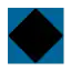 Blue Square/Black Diamond