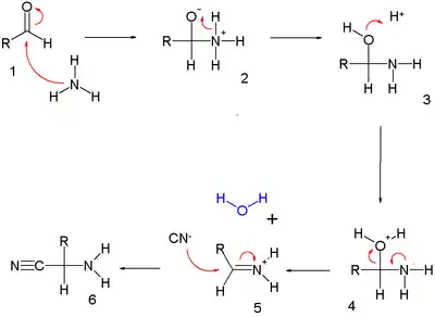 Strecker synthesis part I