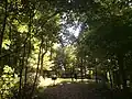 Sugar Loaf Park, Granville, Ohio