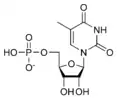 Chemical structure of thymidine monophosphate