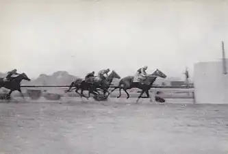 1950年冠軍「Kumono Hana」