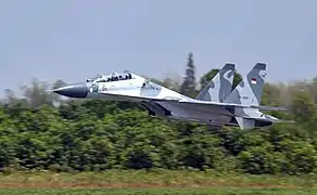 印度尼西亞空軍Su-30MK2