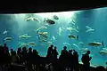 葛西臨海水族園（日语：）