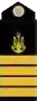 Kapitan of the 1st rank insignia of the Ukrainian Navy (f. 2016)