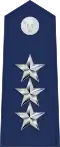 中将