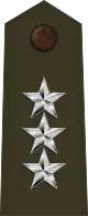 中将