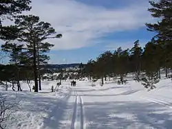 比爾克內斯的滑雪場