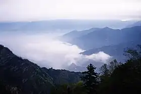 台灣阿里山的雲海