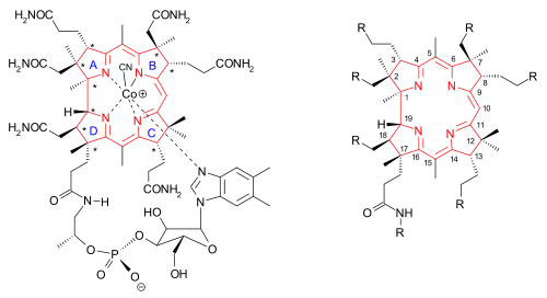 VitaminB12 overview