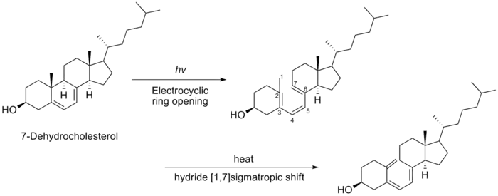 维生素D3生物合成