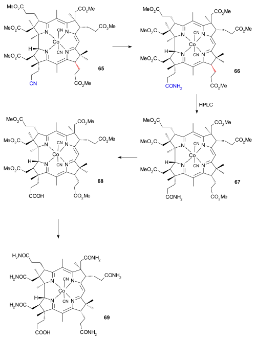 Vitamin B12 BCAD construction part III