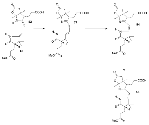 Vitamin B12 BC ring part III