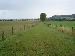 巴西尼地区布勒瓦讷附近的羅馬道路