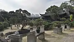 江心屿温州盆景园