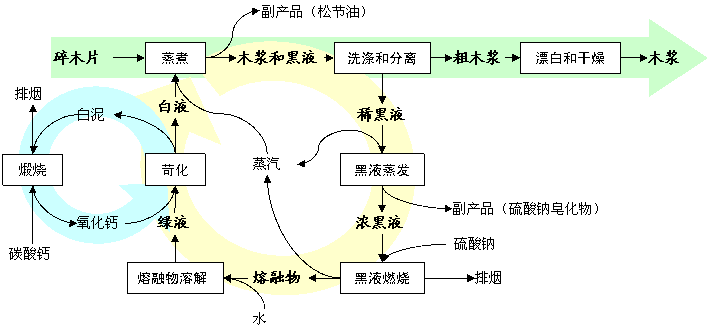 制浆和废物回收工艺