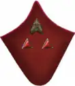 петлица 1937