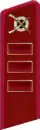 петлица 1940