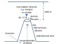 含铁硫矿物，如Greigite（英语：），在热液喷口催化二氧化碳还原，生成三羧酸循环中间体。