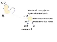 离开热液喷口的原细胞必须有自己的质子动力，例如分解硫化氢。