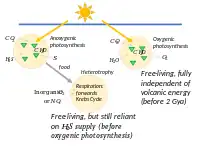 早期异养生物使用三羧酸循环呼吸；然后氧气光合作用使其完全独立于海底火山的能量。