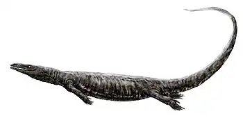 Opetiosaurus