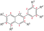 Anthocyanidine