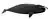 Bowhead whale illustration with an overall black body with a white patch on the jaw, and a large body