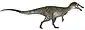 Colour drawing of a long-tailed dinosaur walking on its hind legs